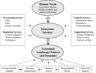 essay on grassland ecosystem