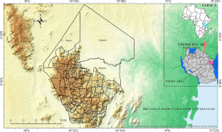 thesis about gis