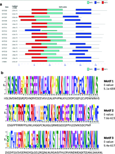 Allele Mining in