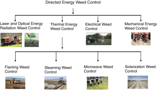 thesis model laser cutting