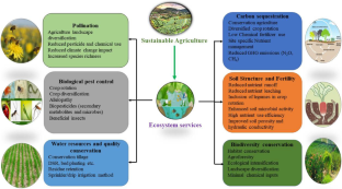 thesis statement of sustainable agriculture