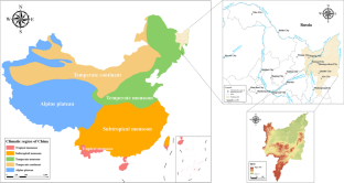 the case study of golden rice