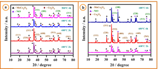 extended data figure 1