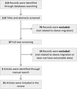 background of study or literature review