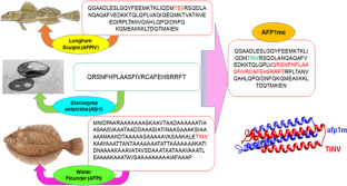 research paper on antifreeze proteins