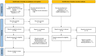 traditional vs systematic literature review