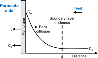 thesis membranes separation