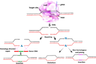 genetically modified soybean research paper