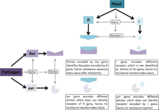 form a hypothesis that explains gene flow