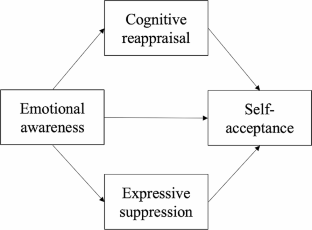 research areas in cognitive psychology