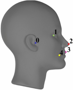 literature review on driver drowsiness detection