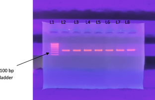 case control studies in research