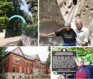 artificial photosynthesis research paper