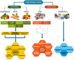 functional food research paper