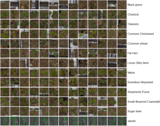 weed invasion research paper