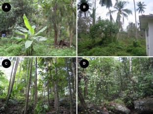 deforestation research article in sri lanka