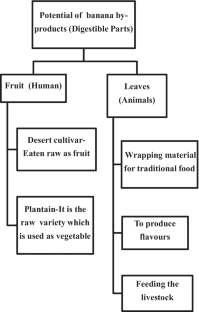 research paper on banana tree