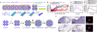 stem cell research for diabetes type 1