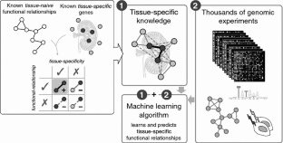 Integrative Networks Illuminate Biological Factors Underlying Gene–Disease Associations