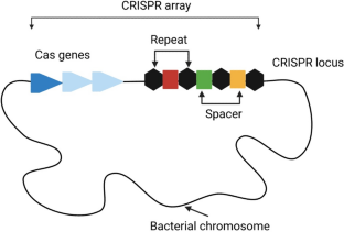 crispr gene editing research paper