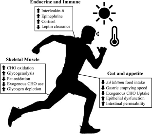 physical exercise literature review