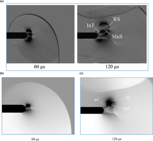 extended data figure 5