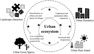 research paper on urbanization in india