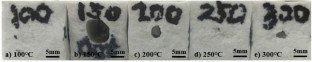 extended data figure 21