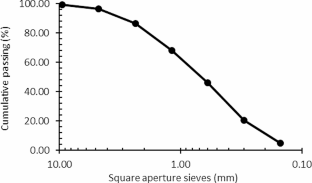 information system development case study with solution