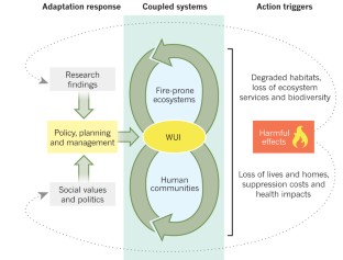 wildfire case study geography