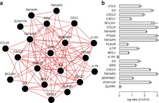 Understanding multicellular function and disease with human tissue-specific networks