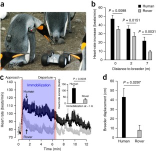 research on wild animals