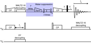 protein nmr backbone assignment