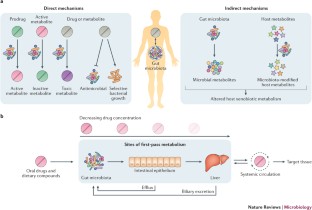 case study of xenobiotics