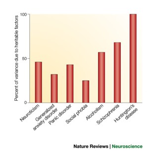 hypothesis of anxiety disorders