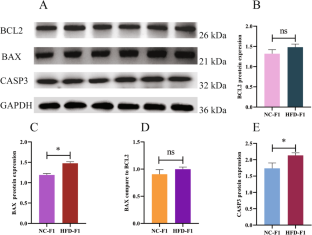 extended data figure 8