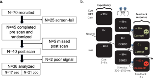 うつ病治療に有望な新たな脳細胞活性制御法を発見(Mount Sinai Researchers Uncover a Promising New Way to Modulate Brain Cell Activity to Potentially Treat Major Depressive Disorder in Adults) うつ病治療に有望な新たな脳細胞活性制御法を発見(Mount Sinai Researchers Uncover a Promising New Way to Modulate Brain Cell Activity to Potentially Treat Major Depressive Disorder in Adults)