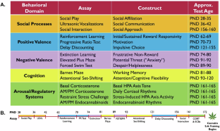 ストレス下でラットが大麻を自己投与する傾向を発見(Rats may seek cannabis to cope with stress, WSU research finds)