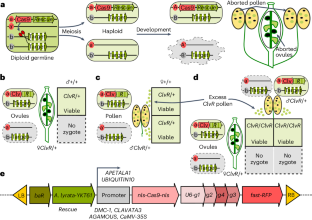 CRISPRを利用した植物の遺伝子操作技術(A New CRISPR-Driven Technology for Gene Drive in Plants)