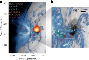 太陽黒点上空でオーロラに似た電波バーストを発見(NASA-Supported Team Discovers Aurora-Like Radio Bursts Above Sunspot)