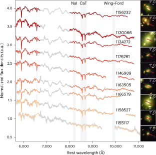 初期宇宙の銀河には予想以上に多くの低質量星が存在（Hidden stars suggest that distant galaxies are more massive than they appear）