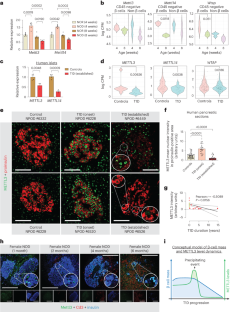PNNLの科学者が、1型糖尿病で活性化する分子スイッチの特定に貢献(PNNL Scientists Help Pinpoint Molecular Switch Active in Type-1 Diabetes)