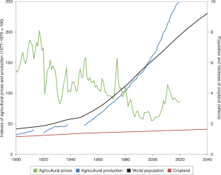 agriculture productivity essay