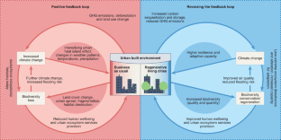 case study urban regeneration