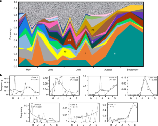 read virus resistant transgenic plants potential ecological impact