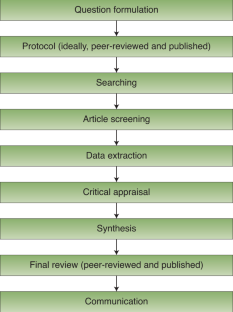 in literature review articles authors should