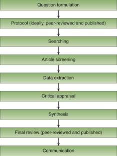 literature review is not