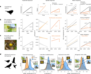 気候変動に追いつけない鳥の移動(Even birds can’t outfly climate change)