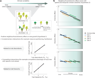 森林の多様性はすべての森林で重要だが、湿潤な森林ではより重要（Biodiversity matters in every forest, but even more in wetter ones）