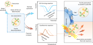 Designing safe and long-life lithium-ion batteries via a solvent-relay strategy – Nature